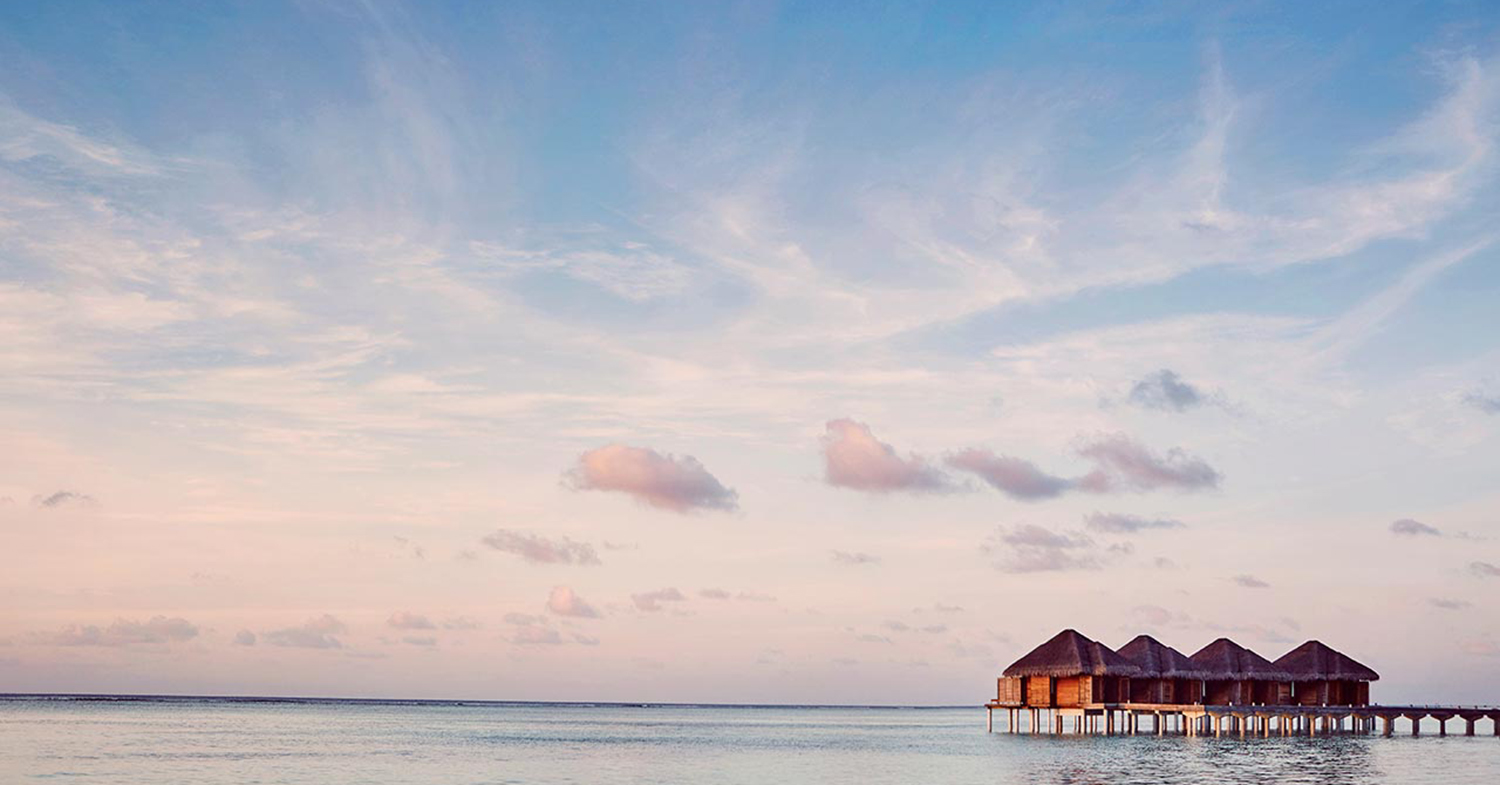 Aubergine Begivenhed eksplicit Diva Resort Maldives (Lux* Maldives South) - Upto 51% Discount Available